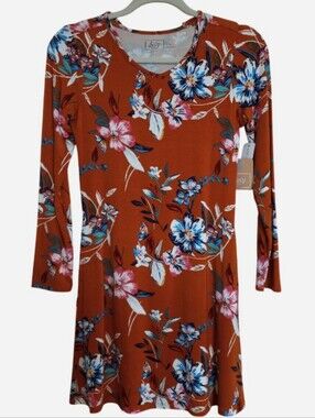 Stitch Fix Bixby Nomad Alyza Floral Long Sleeve Swing Dress